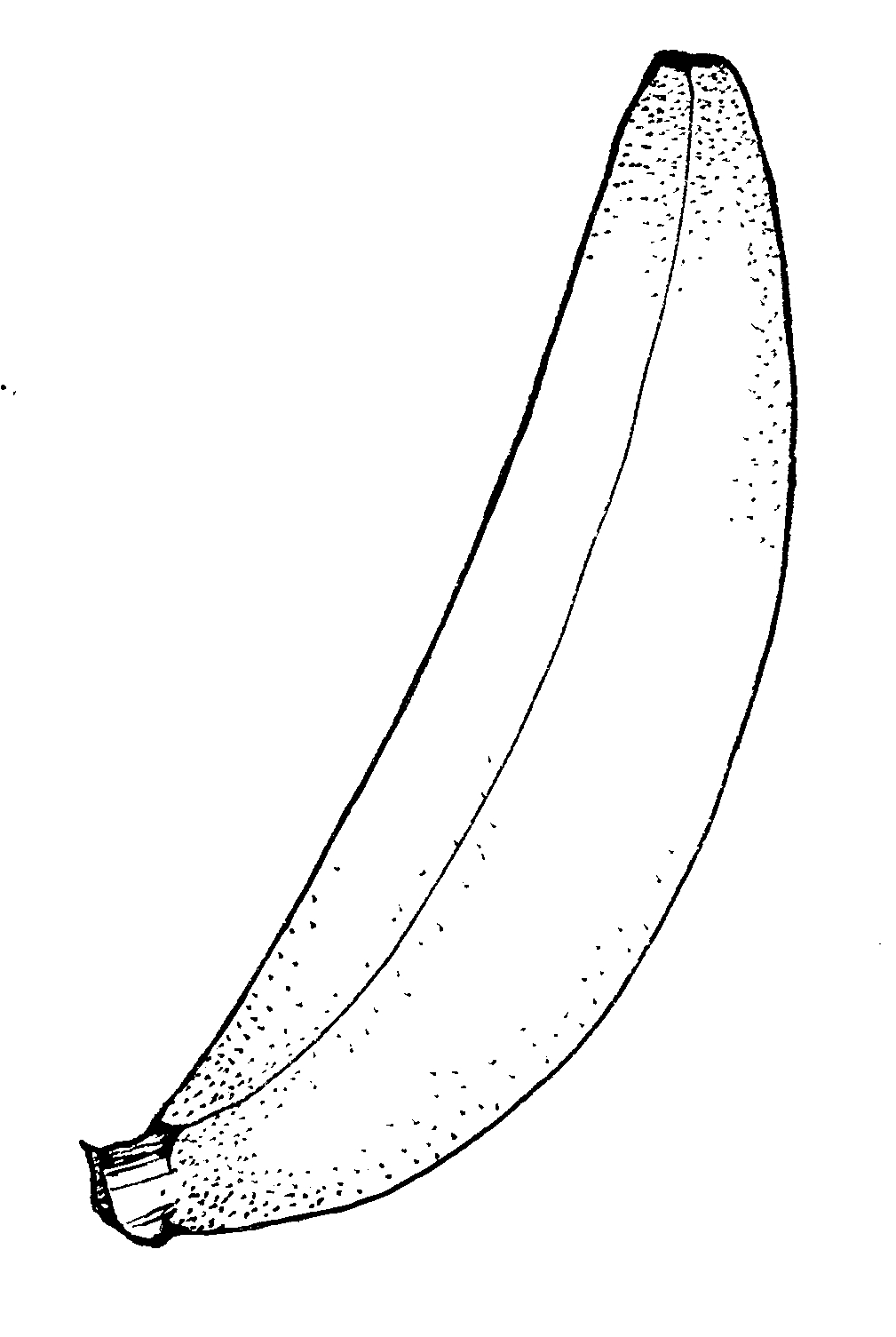 fruits clipart black and white - photo #31