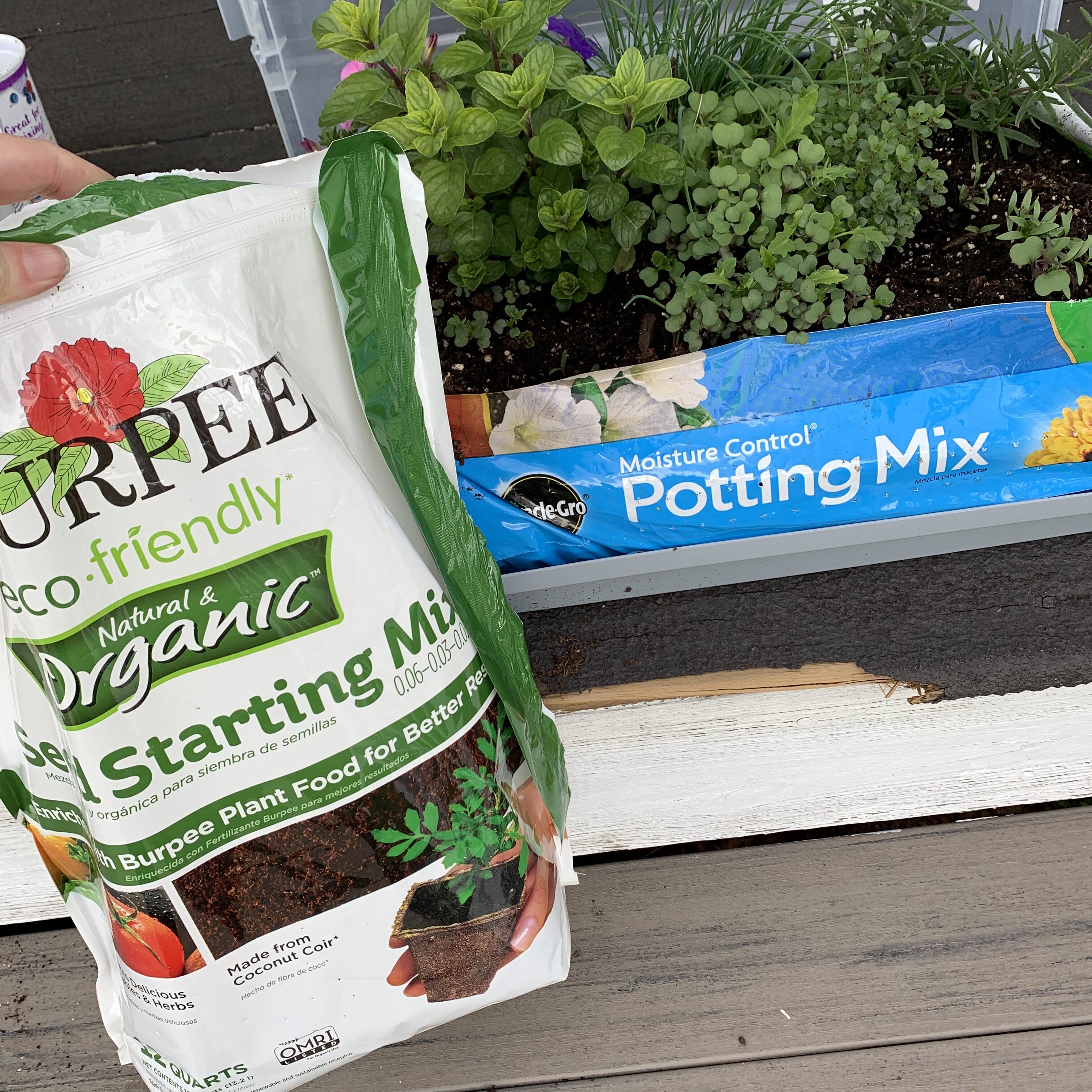 7BBBA1AB A805 46C7 8A31 068EA1B2E2AD Comparing Burpee Organic Seed Starting Mix vs Miracle Gro Moisture Control Potting Mix for transplanted tomato seedlings