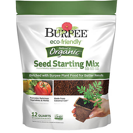 EE137021 59E4 411F A3FE F41305E14BB8 Comparing Burpee Organic Seed Starting Mix vs Miracle Gro Moisture Control Potting Mix for transplanted tomato seedlings - Results
