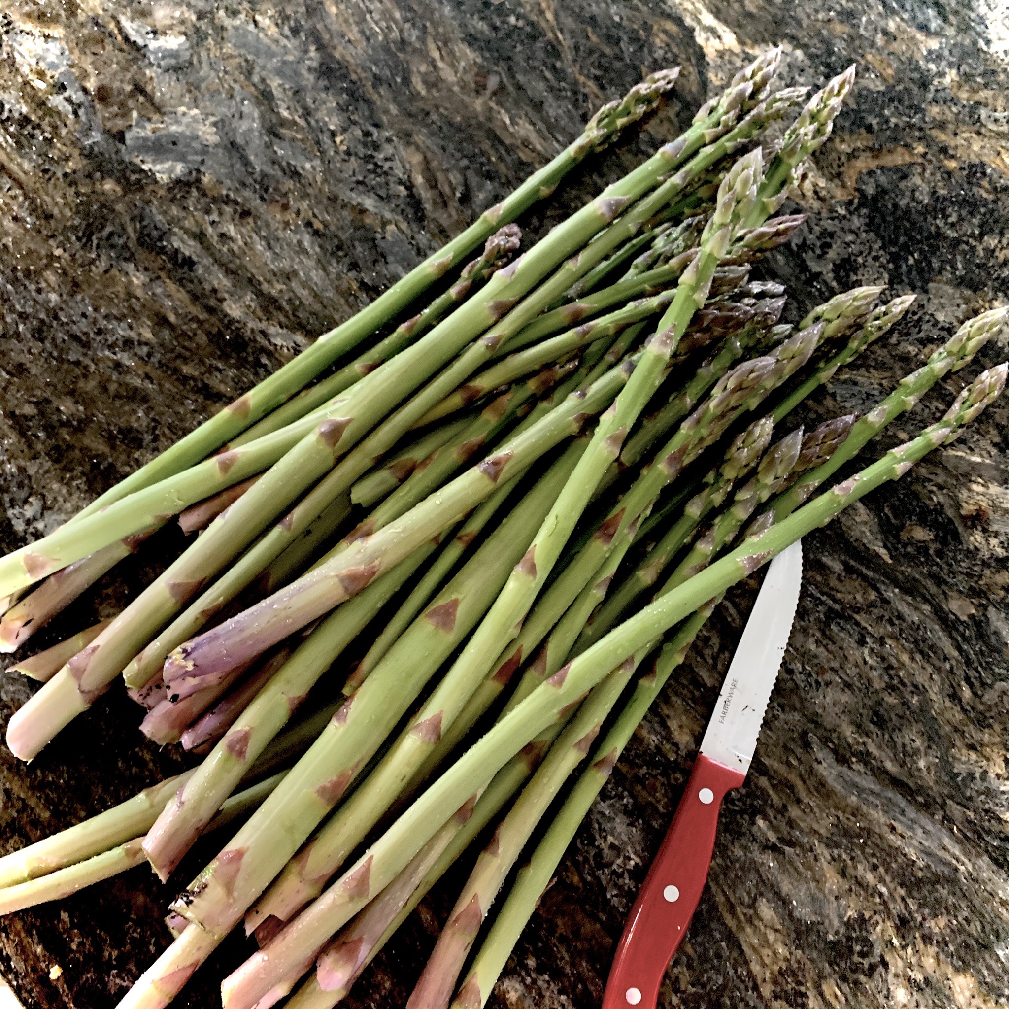 14CC218C BCE1 44F3 8466 343AD0A76273 How to double or triple your asparagus yield
