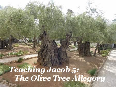 olivetrees Ideas for Teaching Jacob 5: The Olive Tree Allegory