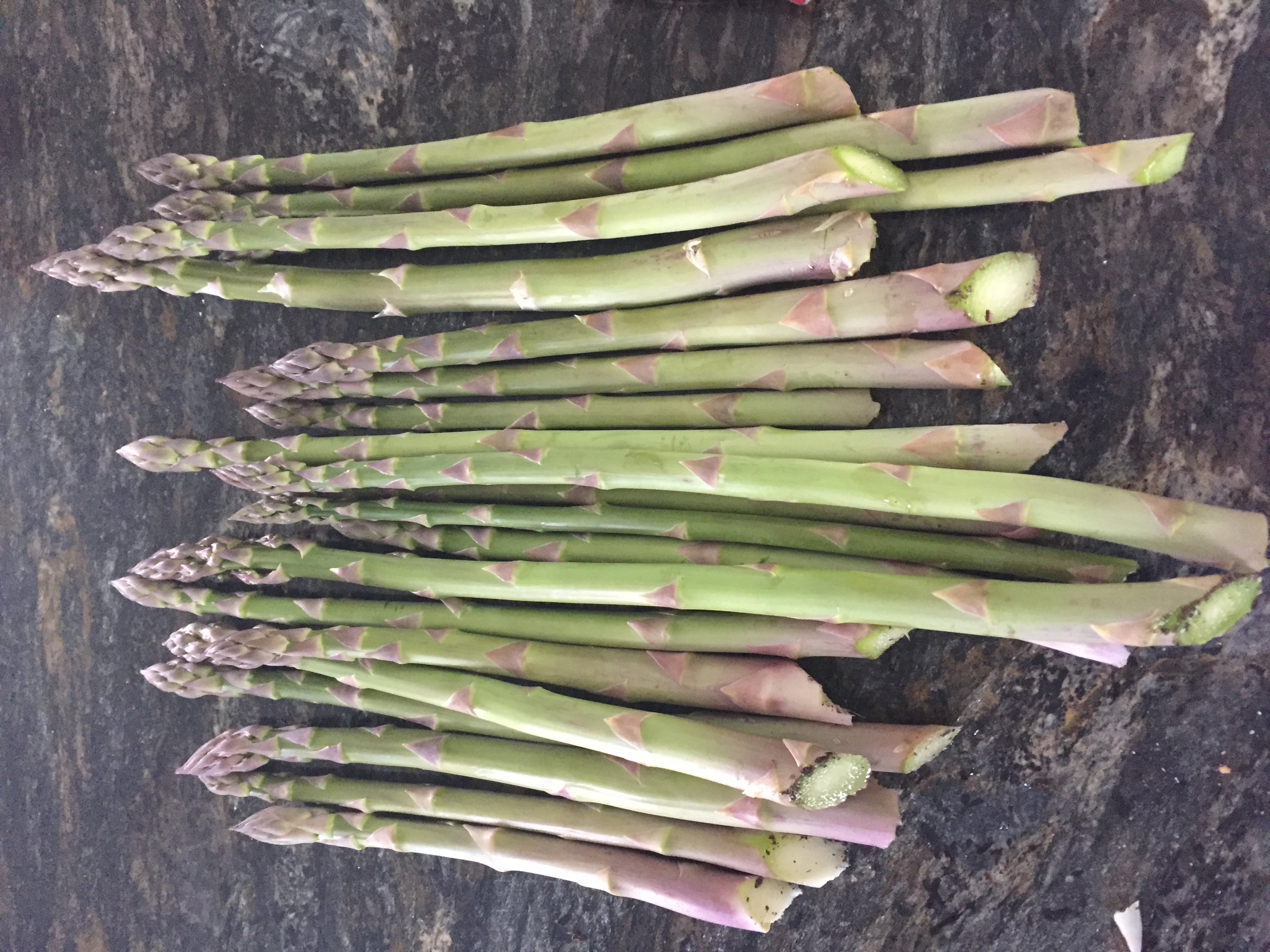 6EA19E63 9A37 4633 869D 60E4D8CB44BD Asparagus and Microgreens