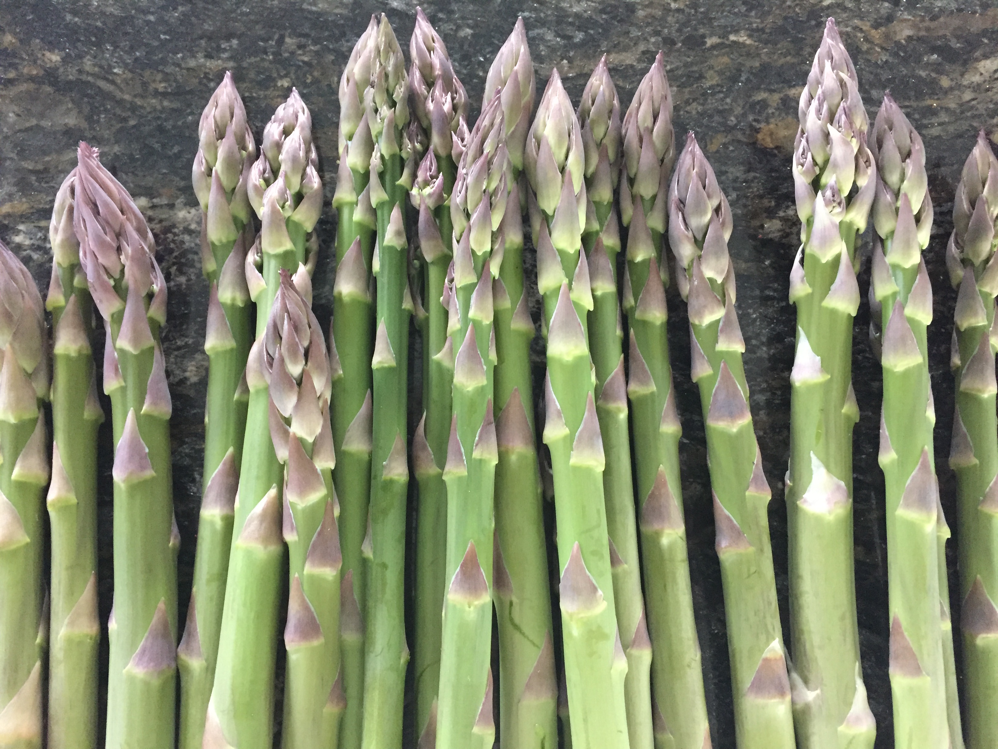 ADB71F6F 8527 4B8E ABAA AAEE324A6FB0 Asparagus and Microgreens