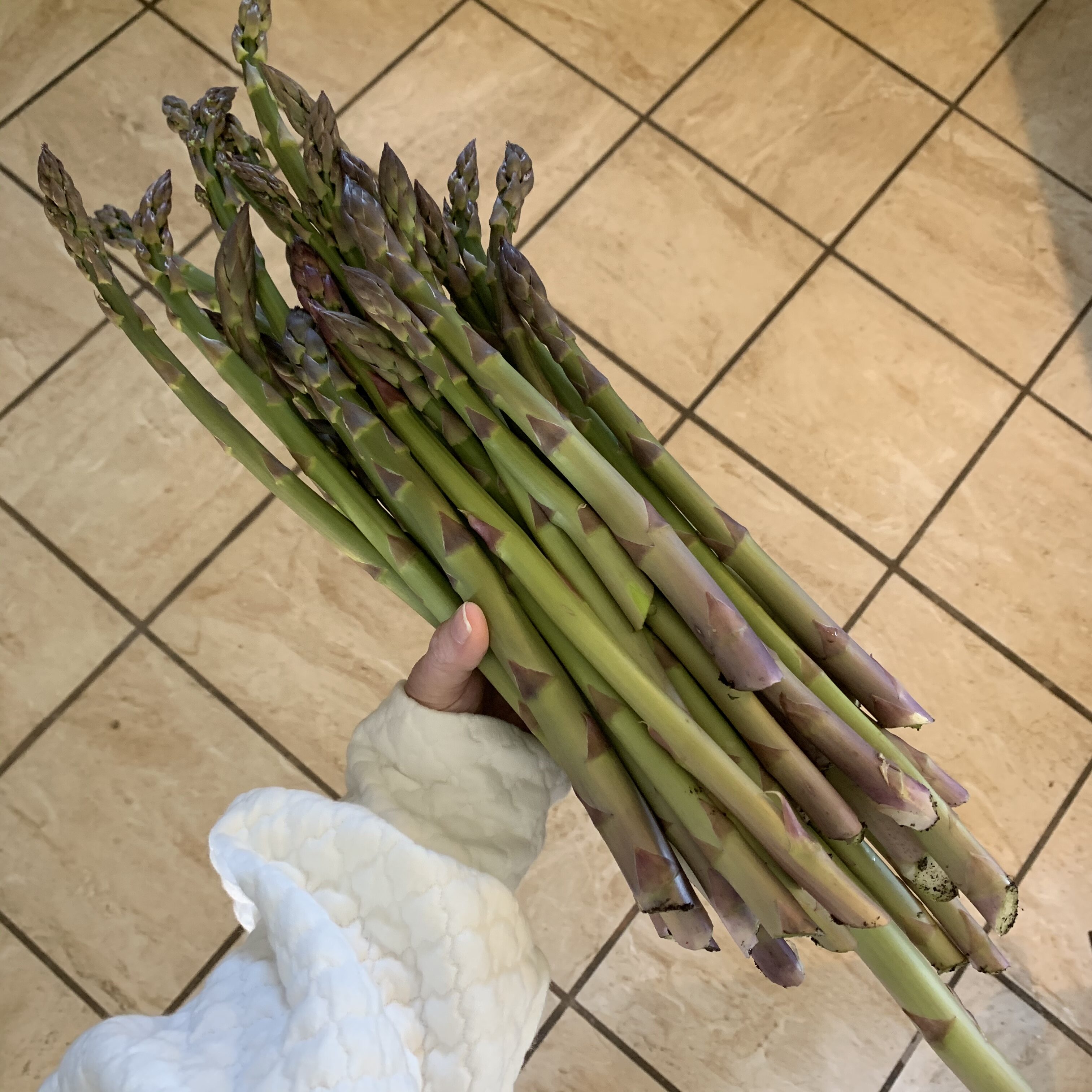 B24A7C15 9C13 4BE4 976B F0FEC57D7118 Lovely Asparagus!