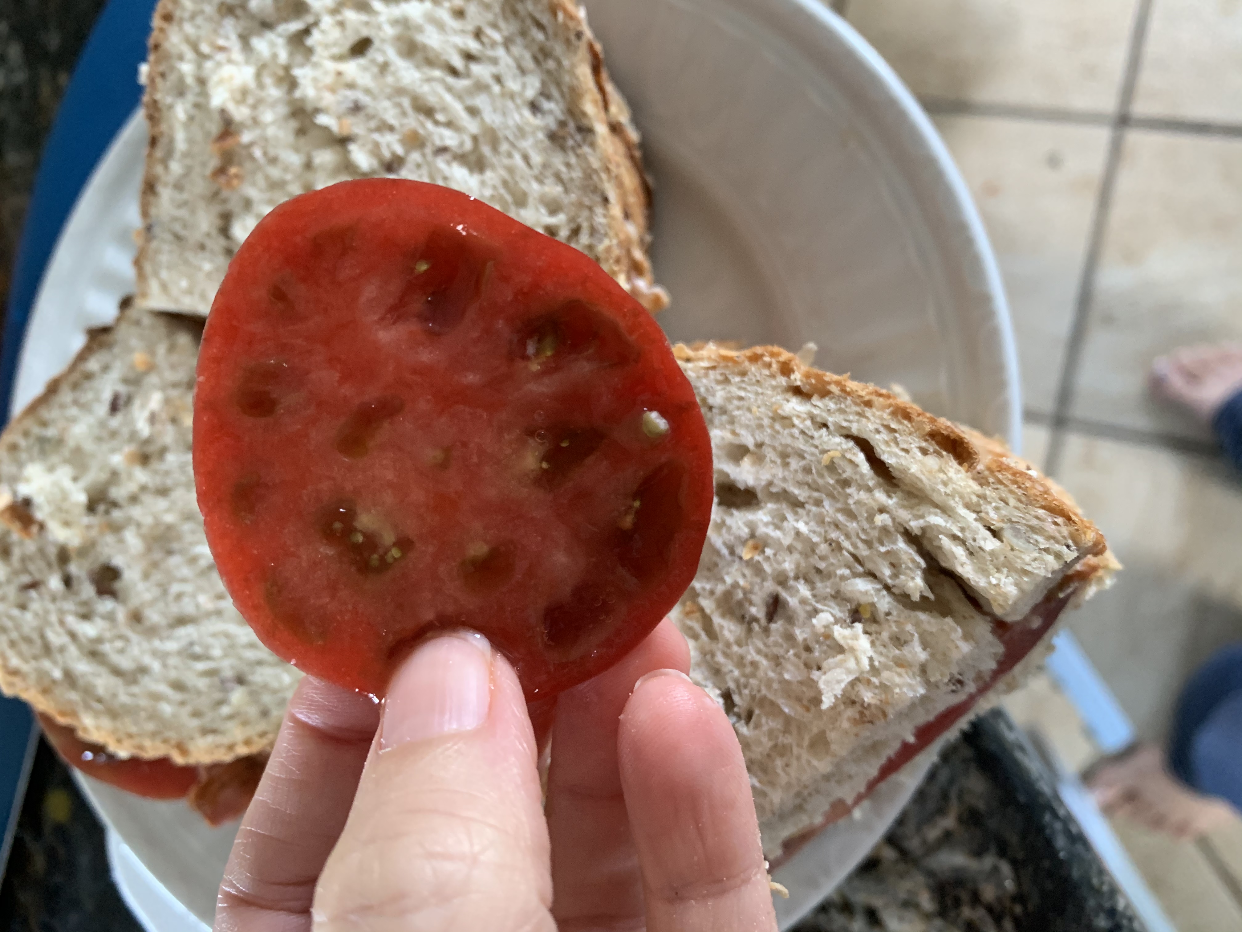 5892B76C 9177 479B 9EA4 3F92E942F8D0 Tomato sandwich