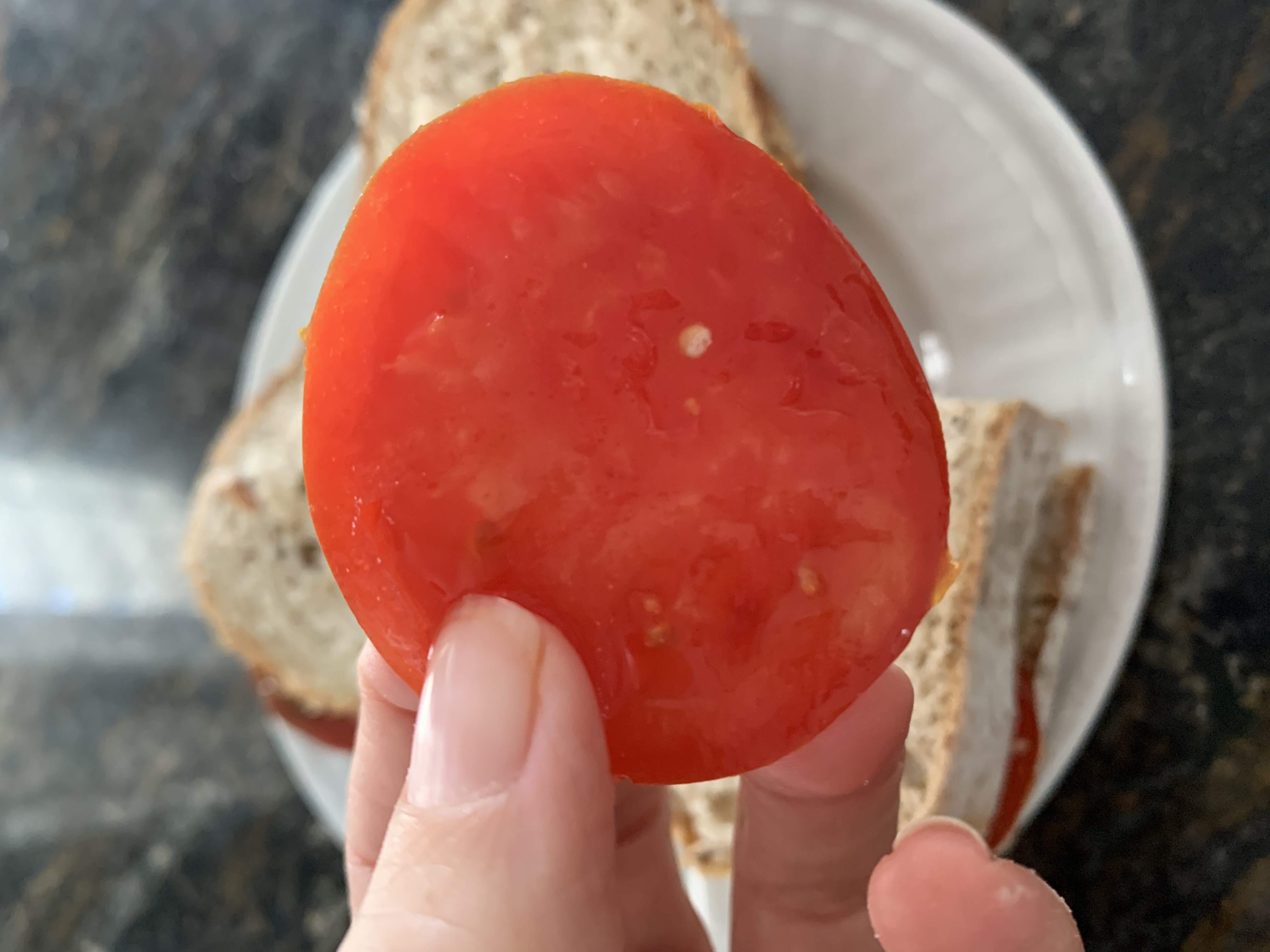 93A53858 C7EB 4680 9EDC B2139616457B Tomato sandwich