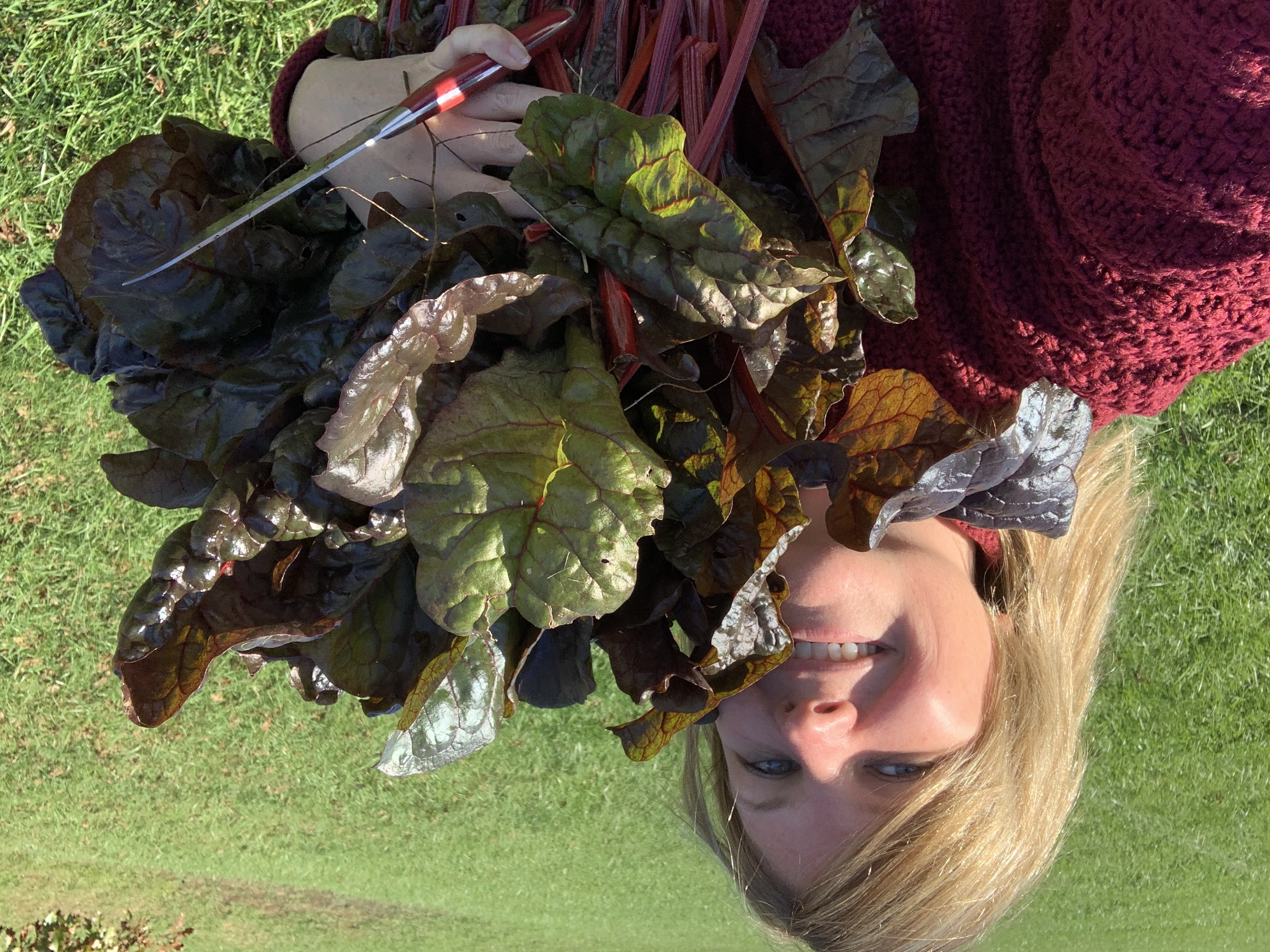 A81B643B 6B37 43C9 BA43 F3D37A303E4E Swiss chard — unlikely hero of the garden